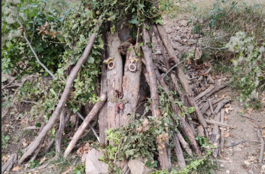 Landart - ein Waldgeist ...., © Naturpark Sparbach