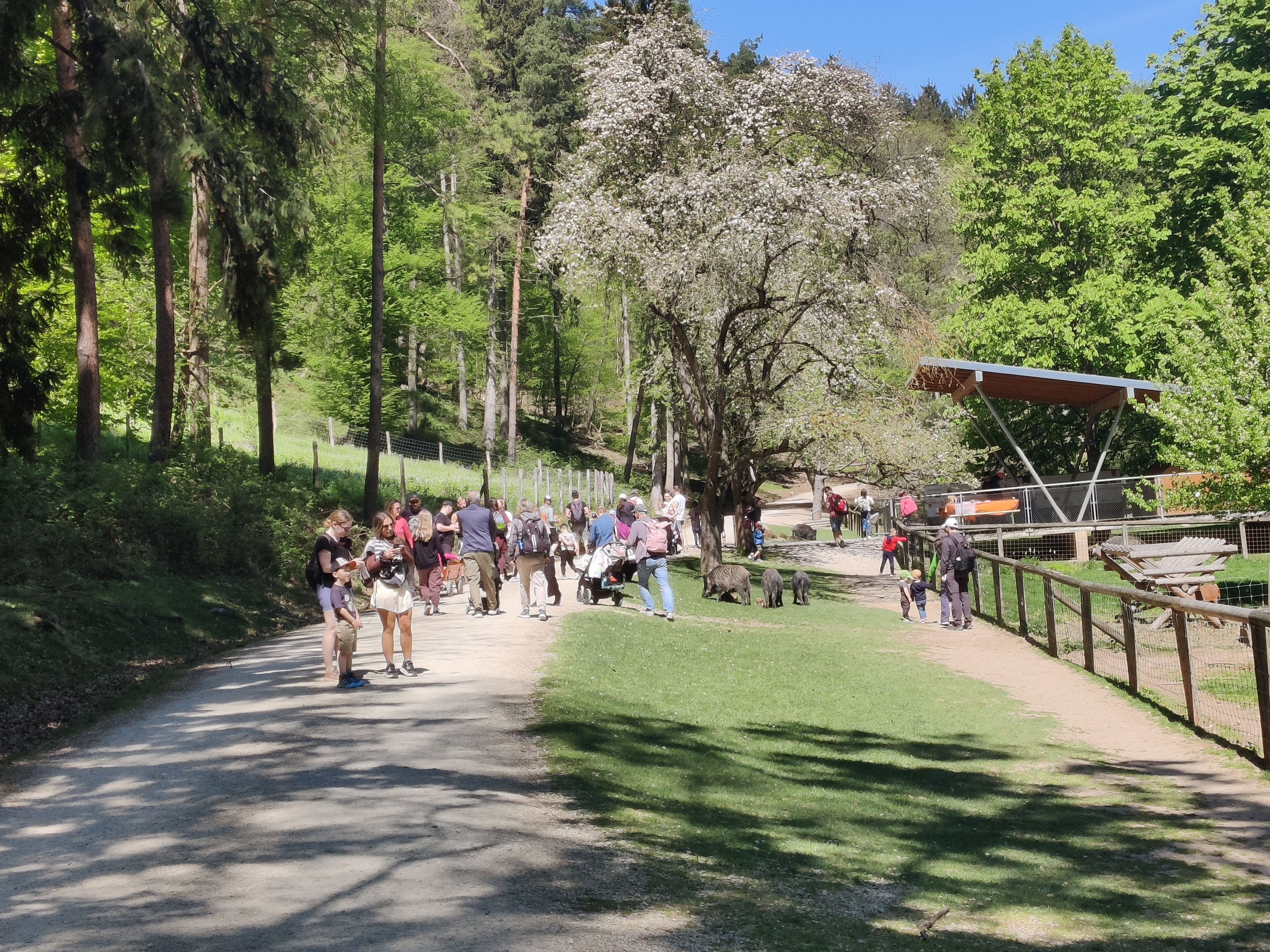 Viele Besucher:innen sind am Hauptweg beim Frühlingsfest unterwegs