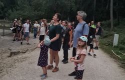 Ausschau halten nach den ersten Fledermäusen