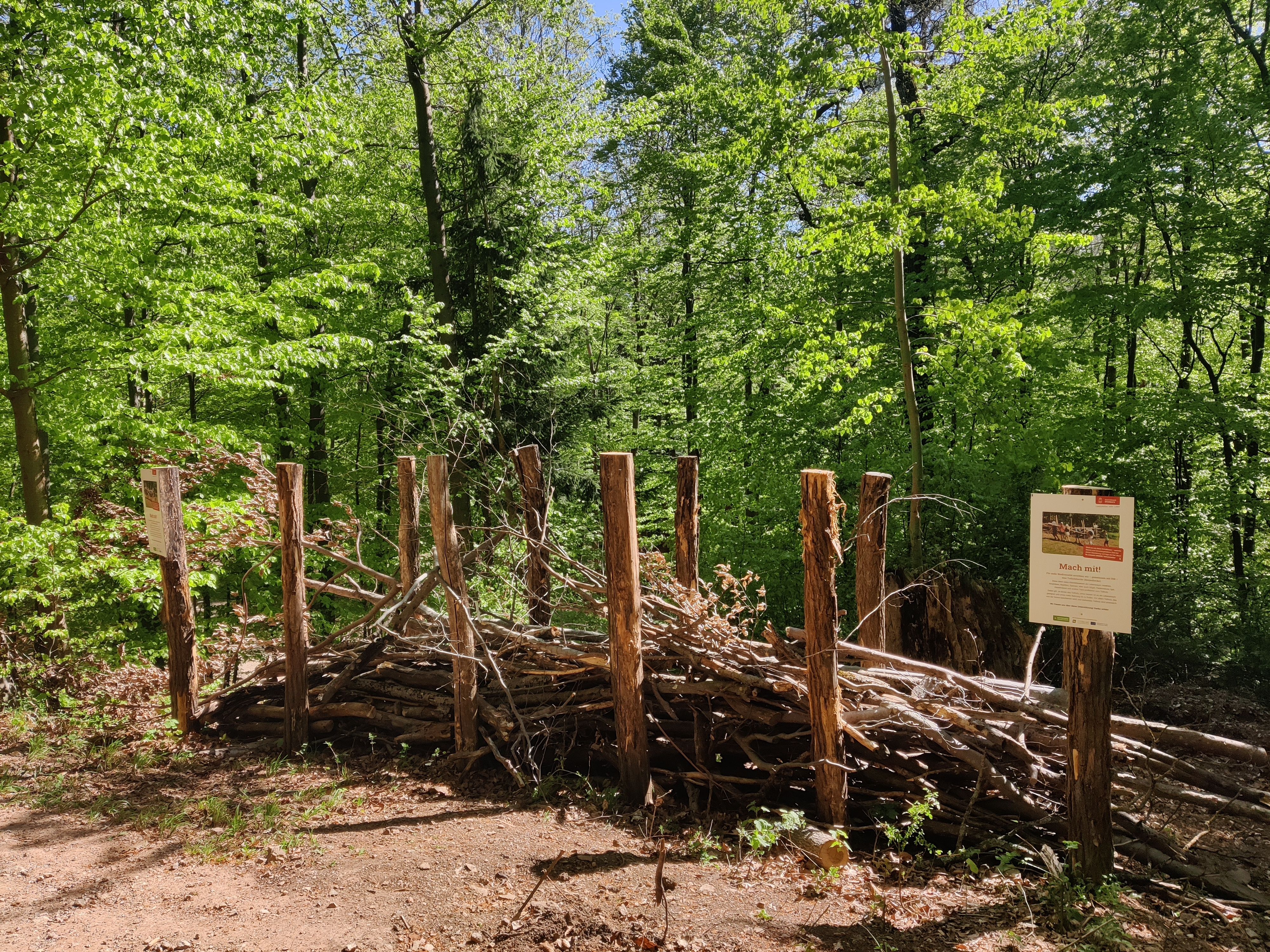 Unsere Gäste bauen eine neue Totholzhecke