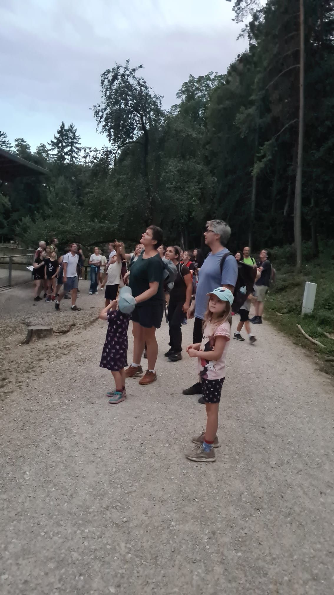Ausschau halten nach den ersten Fledermäusen