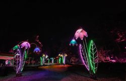 Lichtspektakel Beleuchtung am Spielplatz
