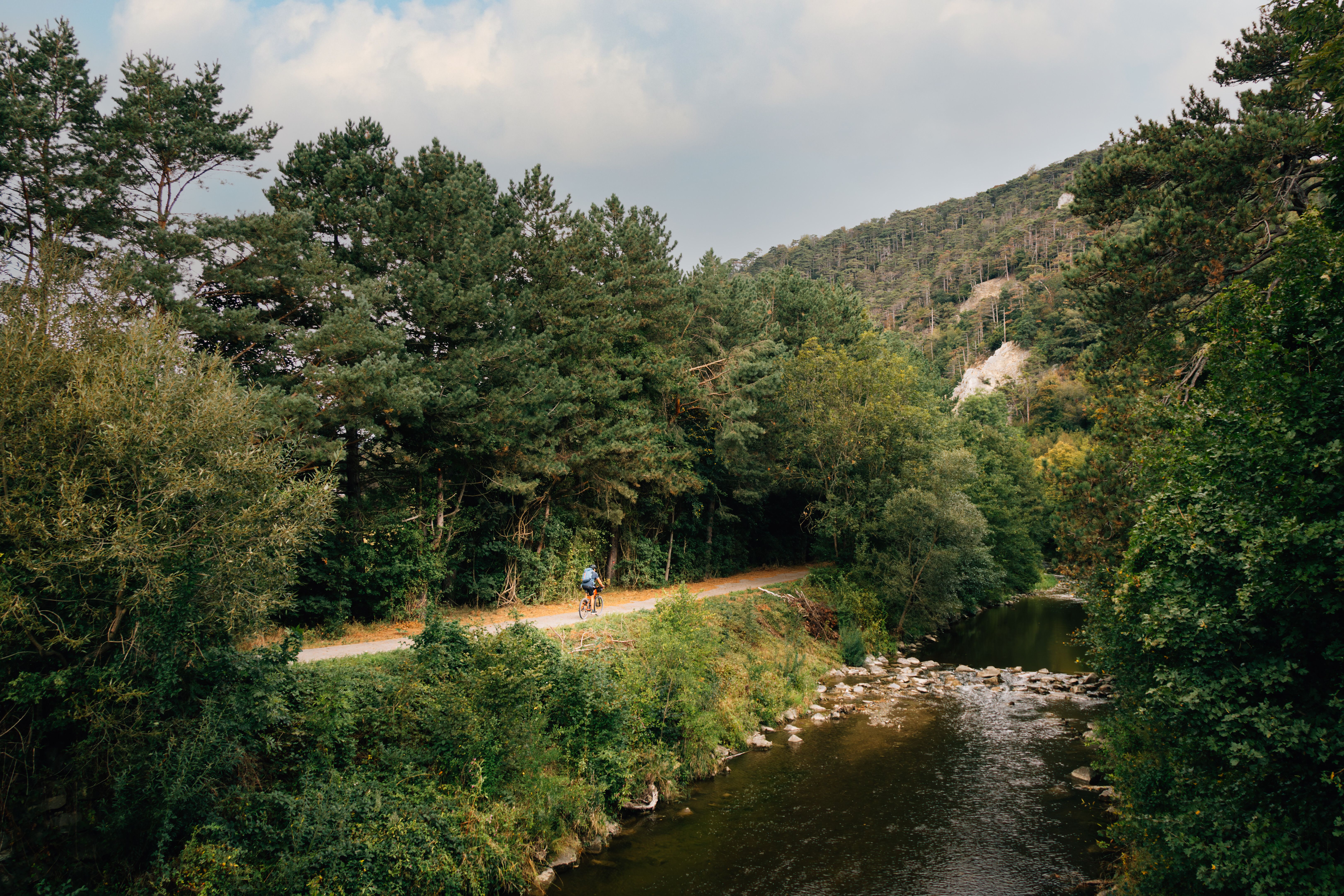 Ein malerischer Radweg schlängelt sich entlang des glitzernden Wassers, umgeben von üppigem Grün und majestätischen Bäumen. Die sanften Hügel im Hintergrund laden dazu ein, die frische Bergluft zu genießen und die Ruhe der Natur zu erleben.