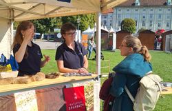 Gespräche mit Besucher:innen