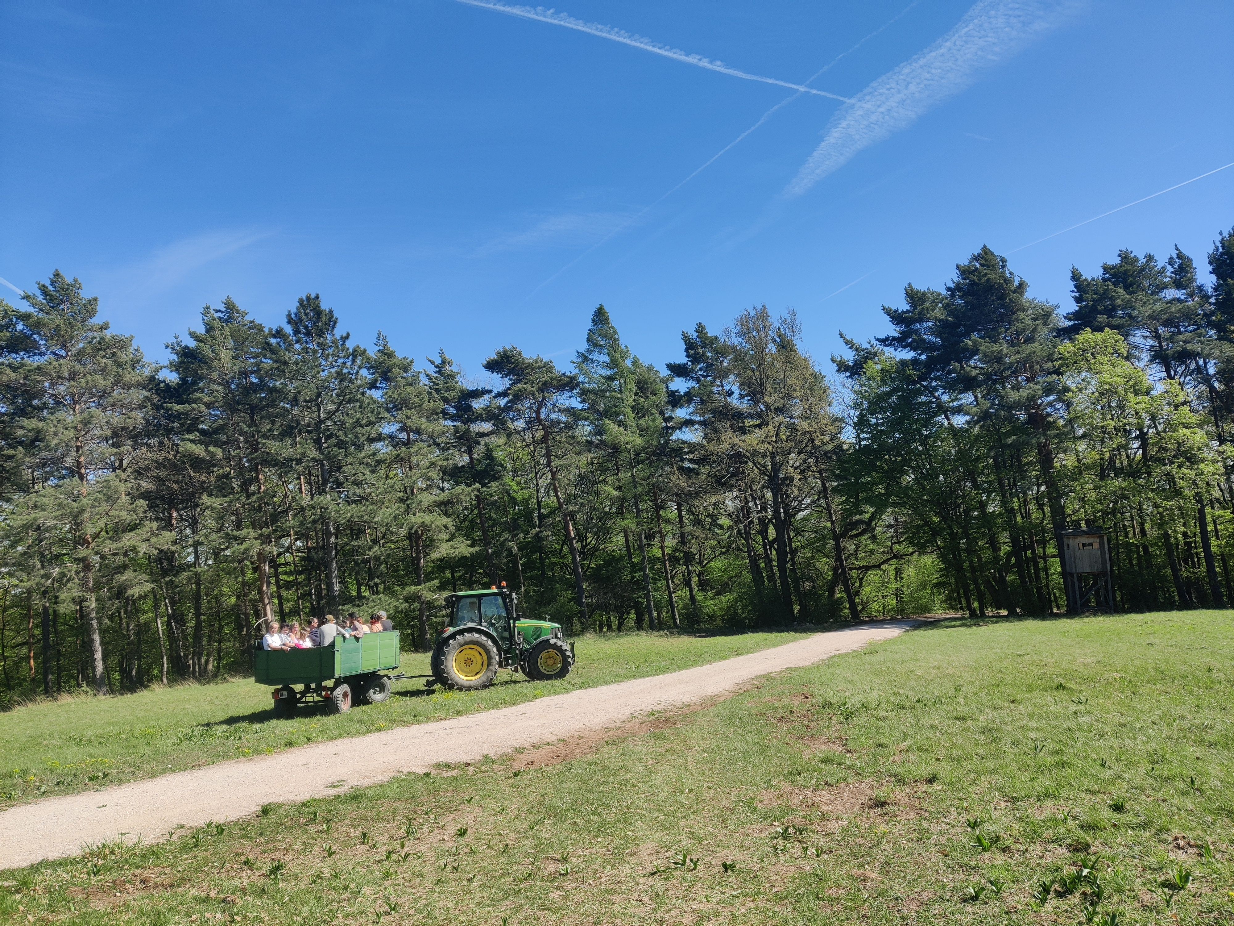 Naturpark Taxi auf der Dianawiese