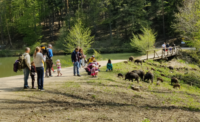 Fest am Samstag, © Naturpark Sparbach