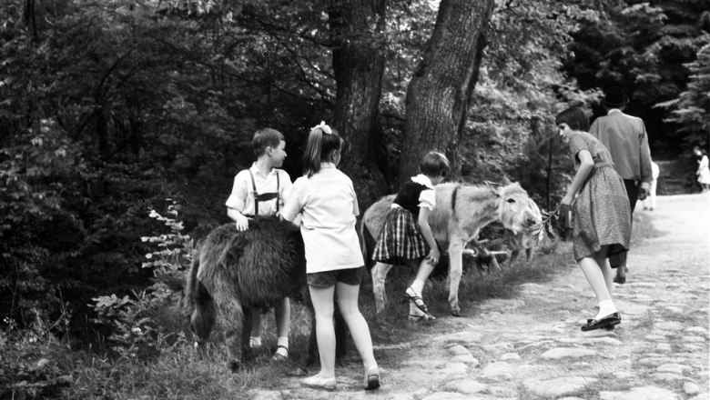 Geschichte NP Besuch, © Landesarchiv Niederösterreich