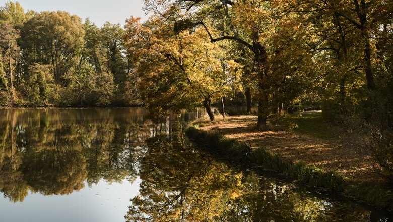 Ein ruhiger Teich im Herbst mit B&auml;umen, deren Bl&auml;tter in Gelb- und Braunt&ouml;nen leuchten, spiegelt sich im Wasser wider.