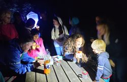 Gemeinsam entdecken wir die "Nachteulen" - Lebewesen der Nacht