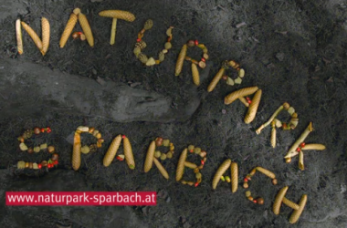 Sparbach Video, © Naturpark Sparbach