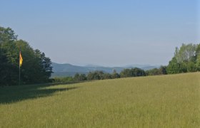 Wiesenlandschaft, © Naturpark Sparbach/Käfer