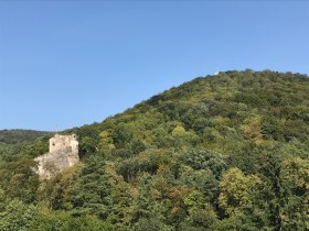 Naturpark Sparbach, Ruine Johannstein, &copy; Wienerwald