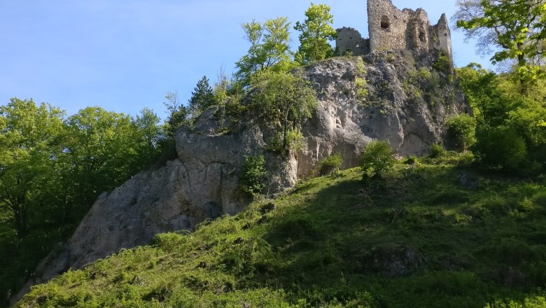 Ruin in the Sparbach Nature Park on a rock with green vegetation.