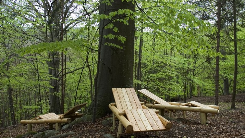 Resting place under treetops, © Naturpark Sparbach