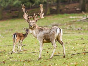 Naturpark Sparbach, &copy; Naturpark Sparbach / Norbert Novak