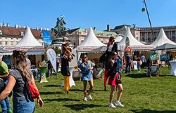 Blick vom Stand auf das Festgelände