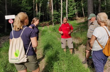 Gruppe beim Austausch, © Naturpark Sparbach