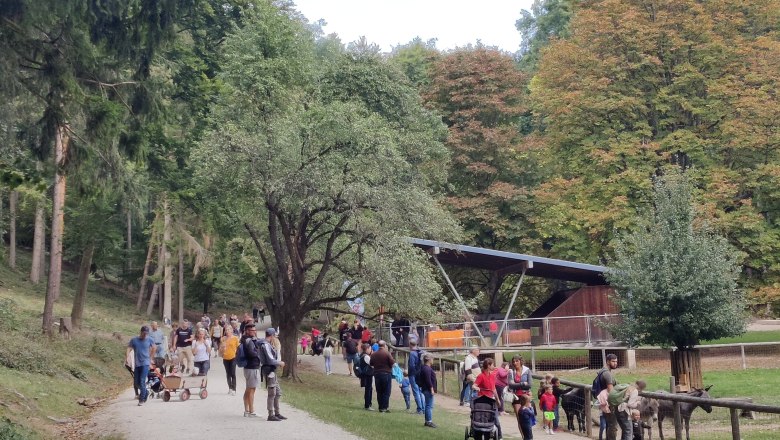 viele interessierte Gäste sind unterwegs, © Naturpark Sparbach