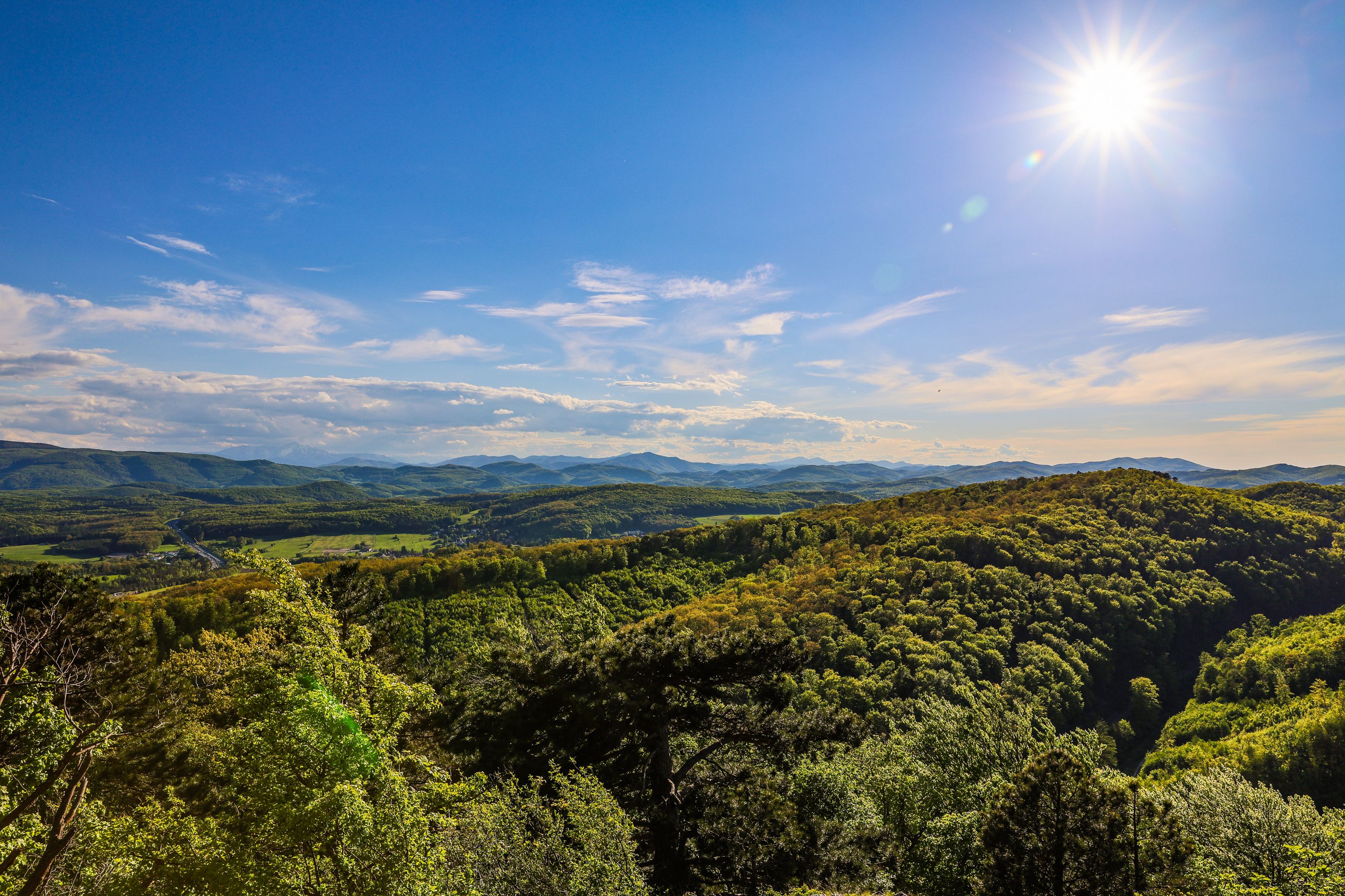 Ausblick vom Köhlerhaus