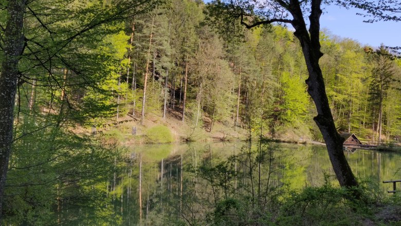 Frühling am Lenauteich, © Naturpark Sparbach