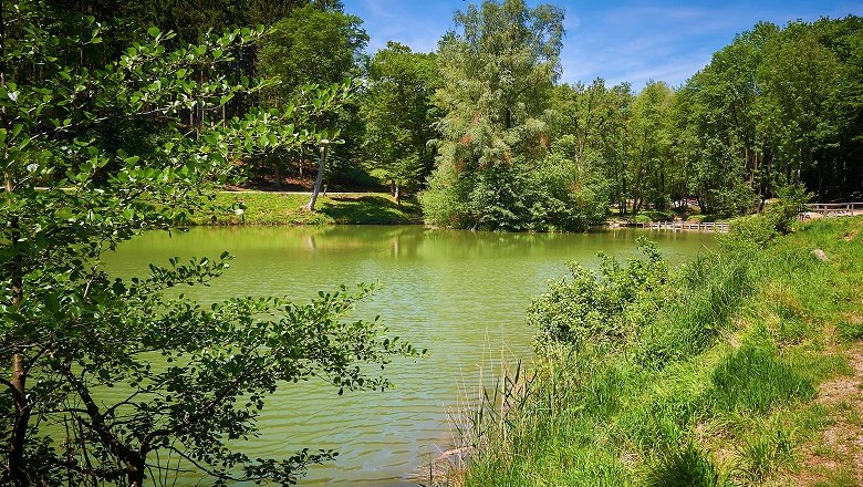 Lenau Pond, © Naturpark Sparbach