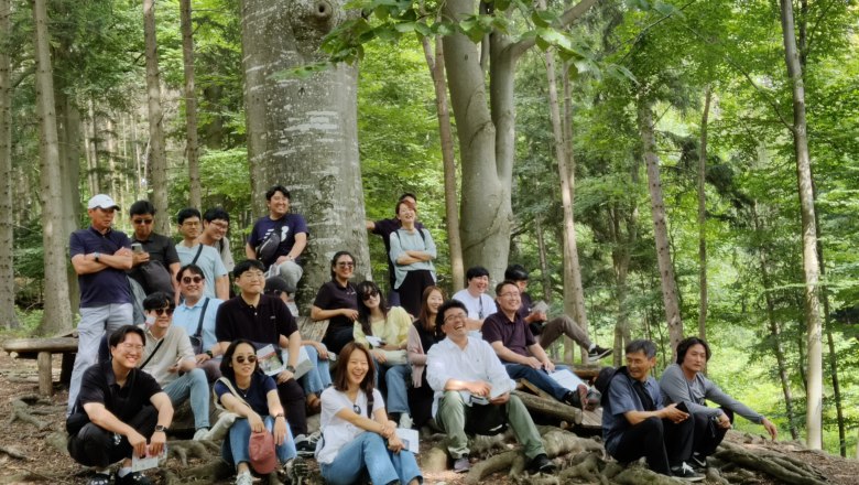 unter den Baumriesen, &copy; Naturpark Sparbach