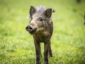 Naturpark Sparbach, &copy; Naturpark Sparbach / Norbert Novak