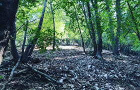 Kaisersteig Sparbach, &copy; Wienerwald