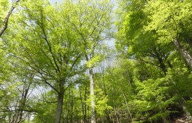 Barrierefreiheit, © Naturpark Sparbach