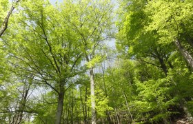 Barrierefreiheit, © Naturpark Sparbach