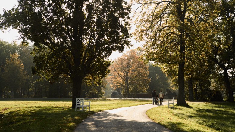 Ein sonniger Herbsttag im Park mit B&auml;umen und einem Spazierweg. Zwei Personen gehen mit einem Kinderwagen.